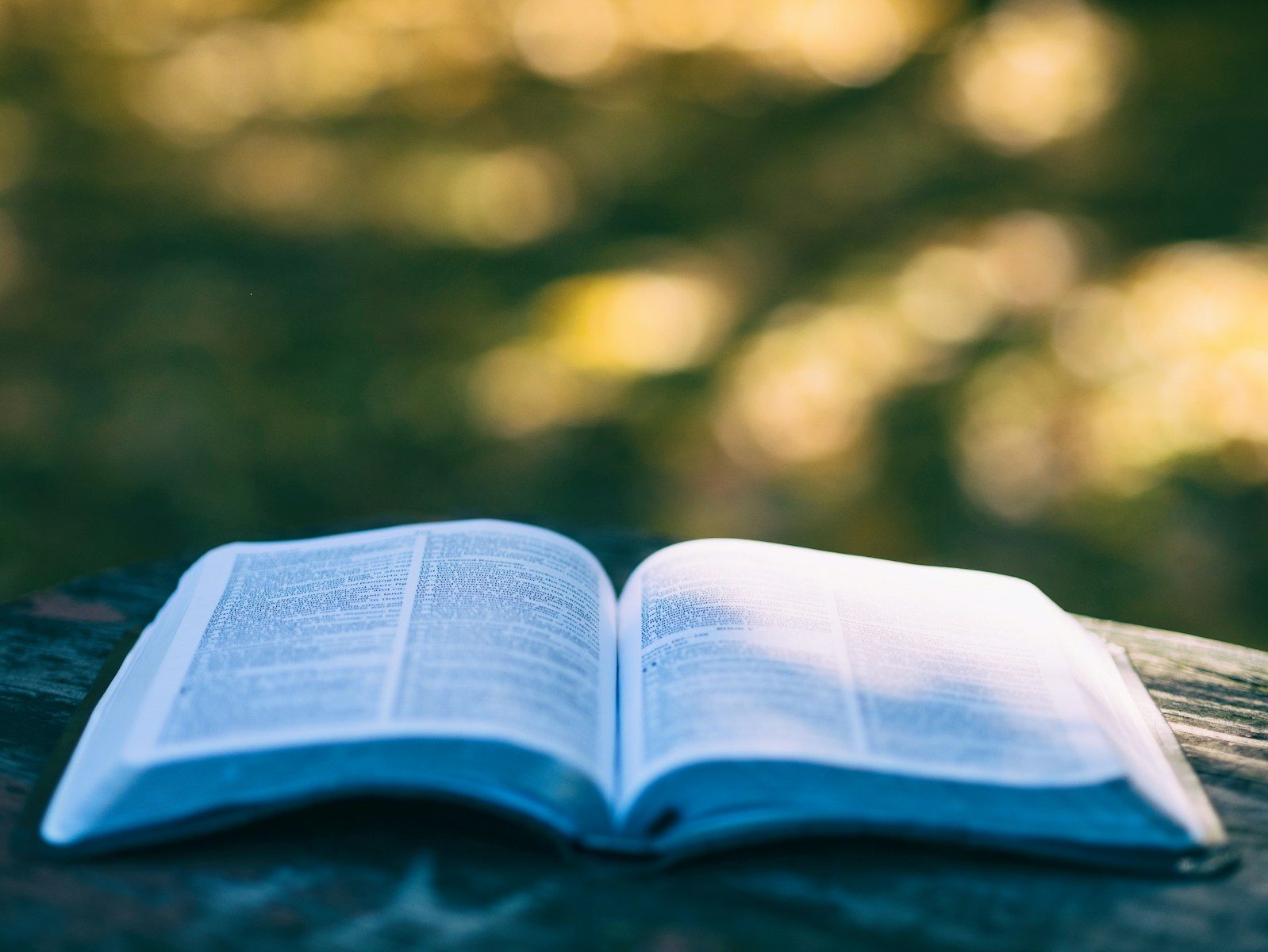 The Will of God: Your Sanctification